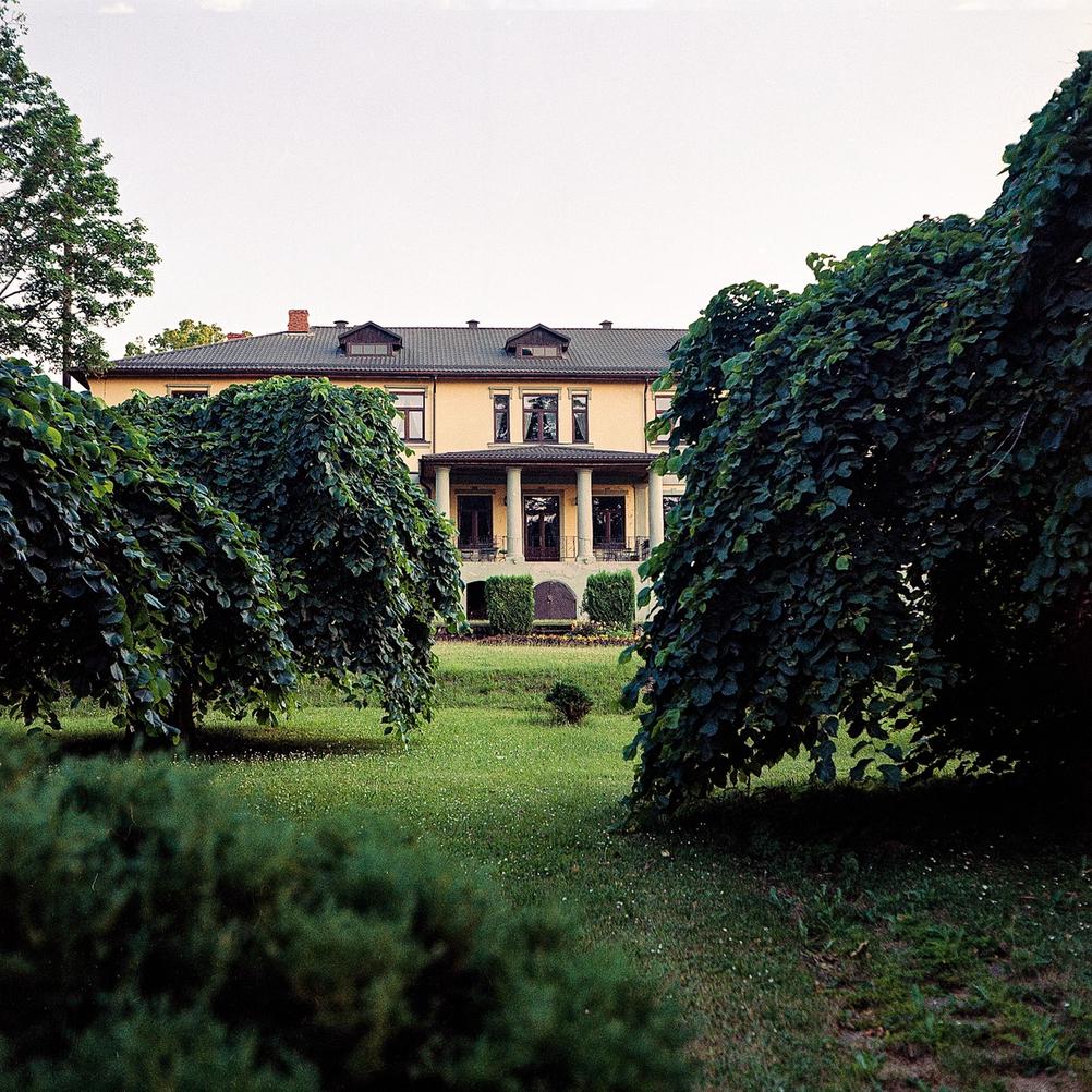 Photo of a large house hiding behind small trees.