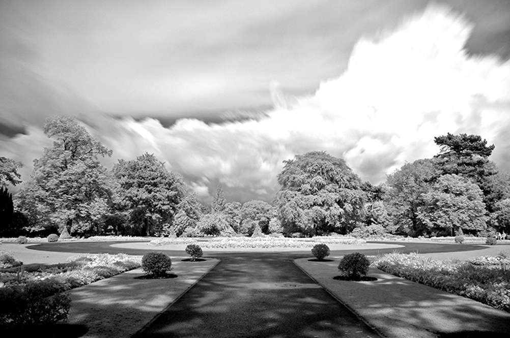 Long exposure infrared photo of a park.