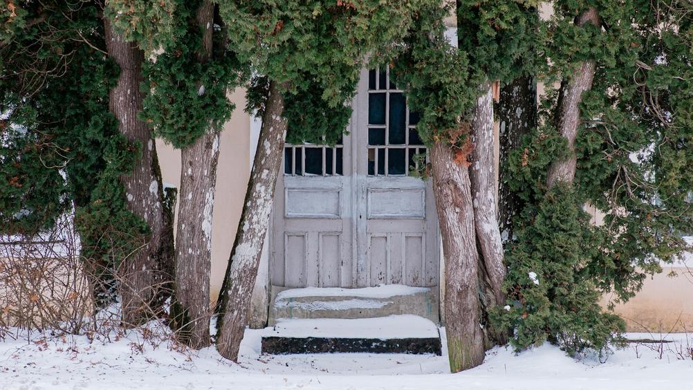Photo of a house door behind some trees.