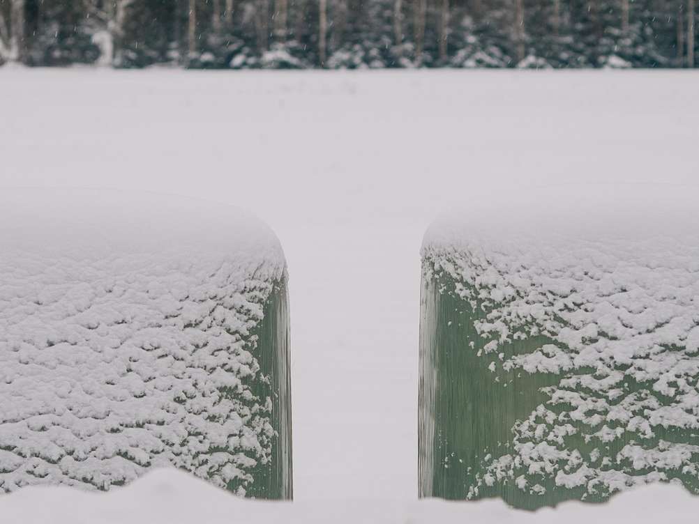 Photo of green grass rolls in the snow.