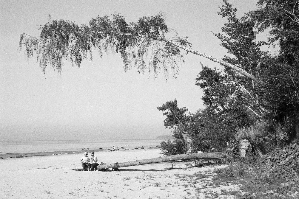 Photo of two women sitting on a tree whilst on beach. There's another tree above them that makes it look like it's falling on them.