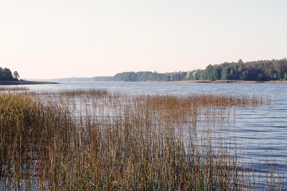 Landscape of a lake.