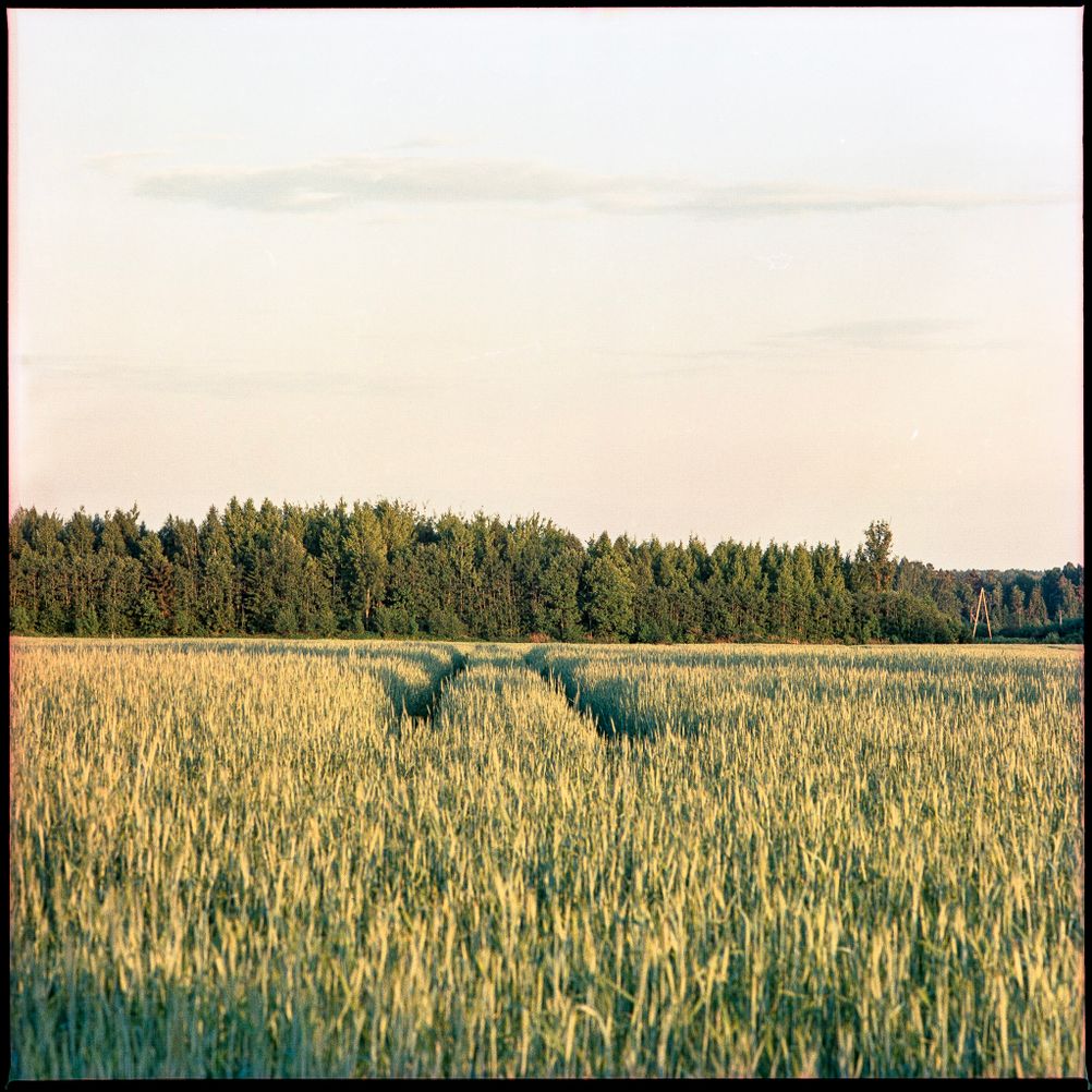 Photo of a field.