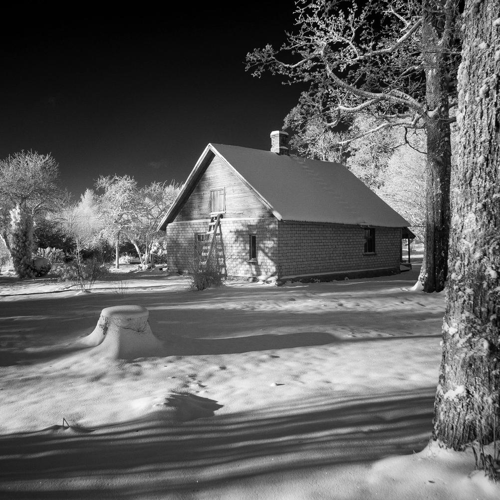 Photo of a house surrounded by long shadows.