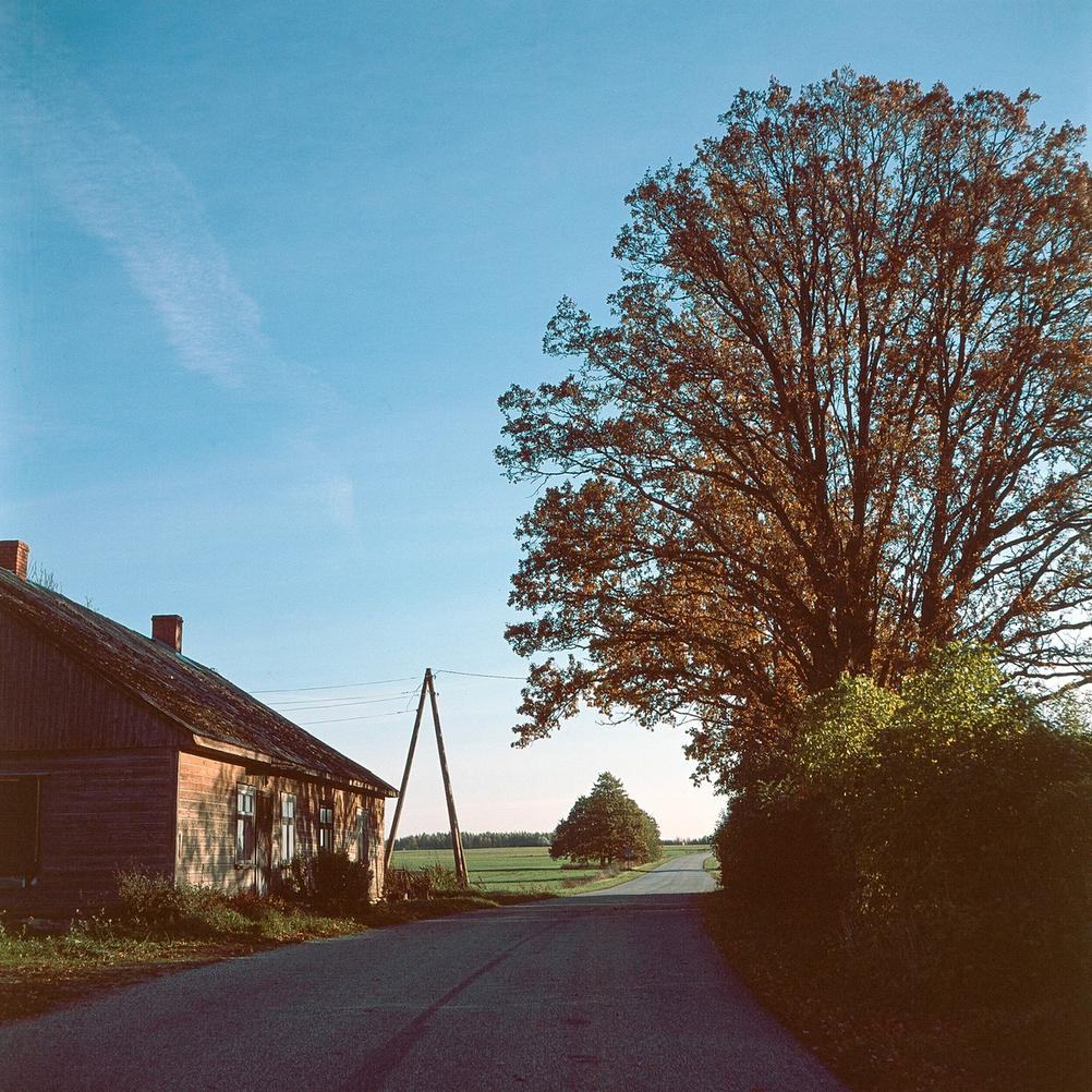 Photo of a house next to road.