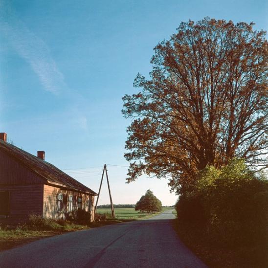 Photo of a house next to a road.