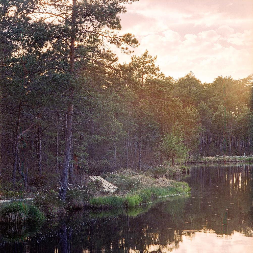 Photo of a lake with trees around.