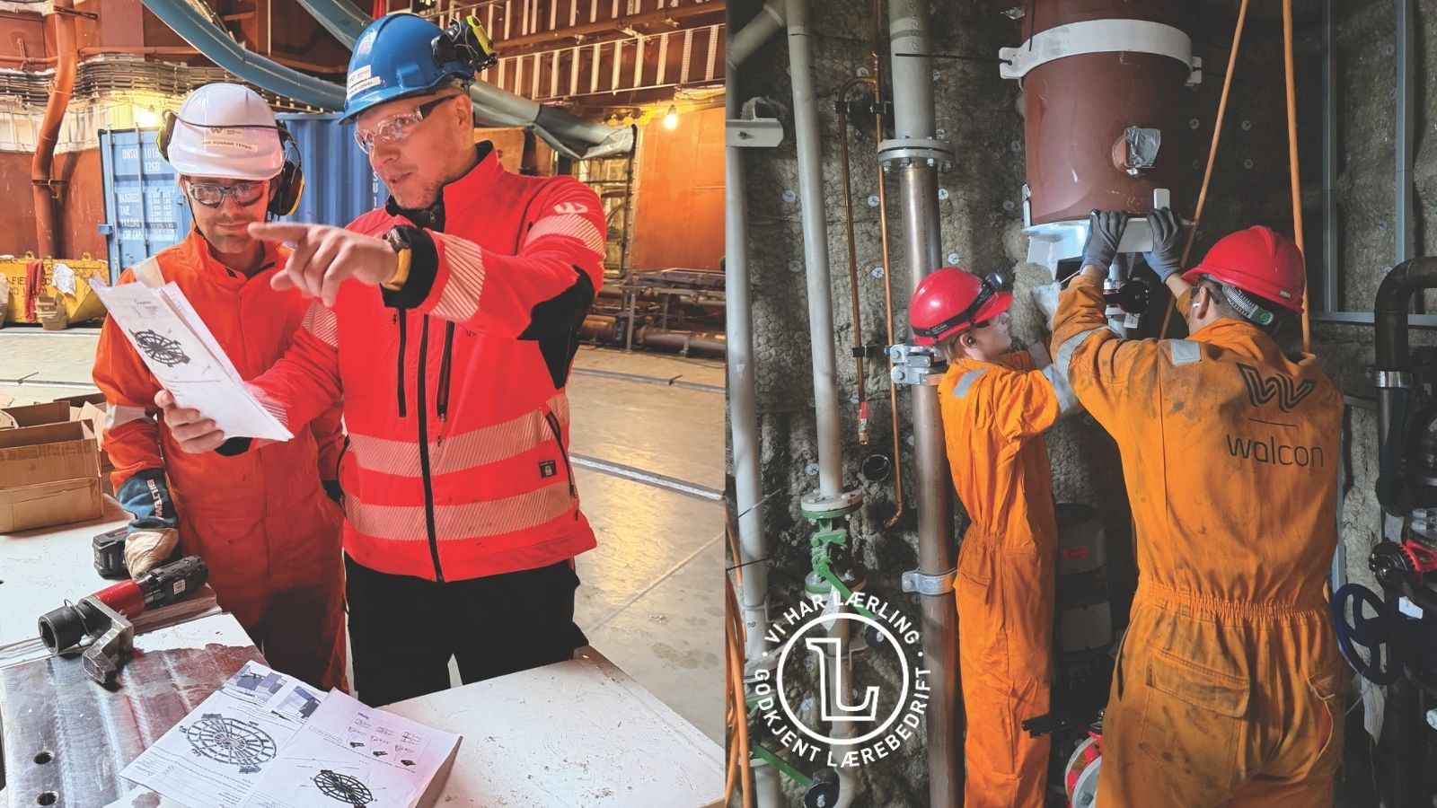 Walcon satser lokalt og bygger internasjonalt