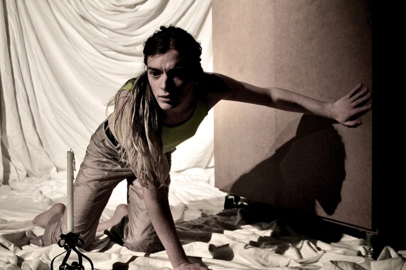 Quam Chrysalidem ©photo : Yordan Goepp-Dumery