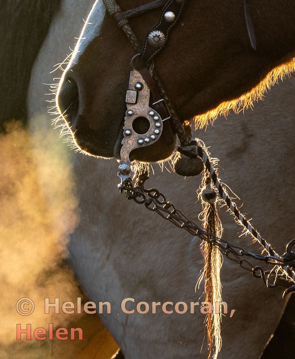 Light & Steam Collide