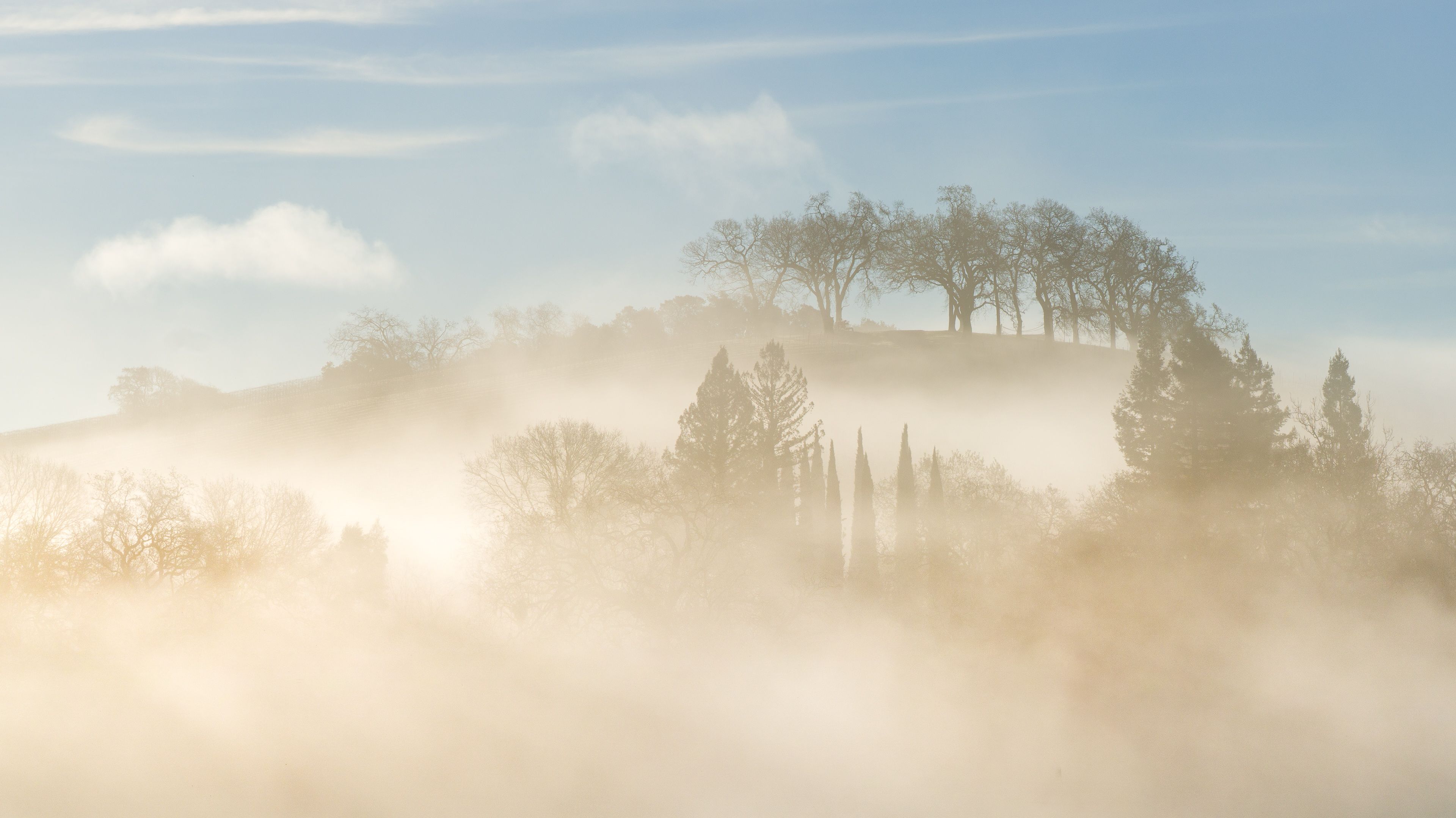 Sonoma County Landscapes