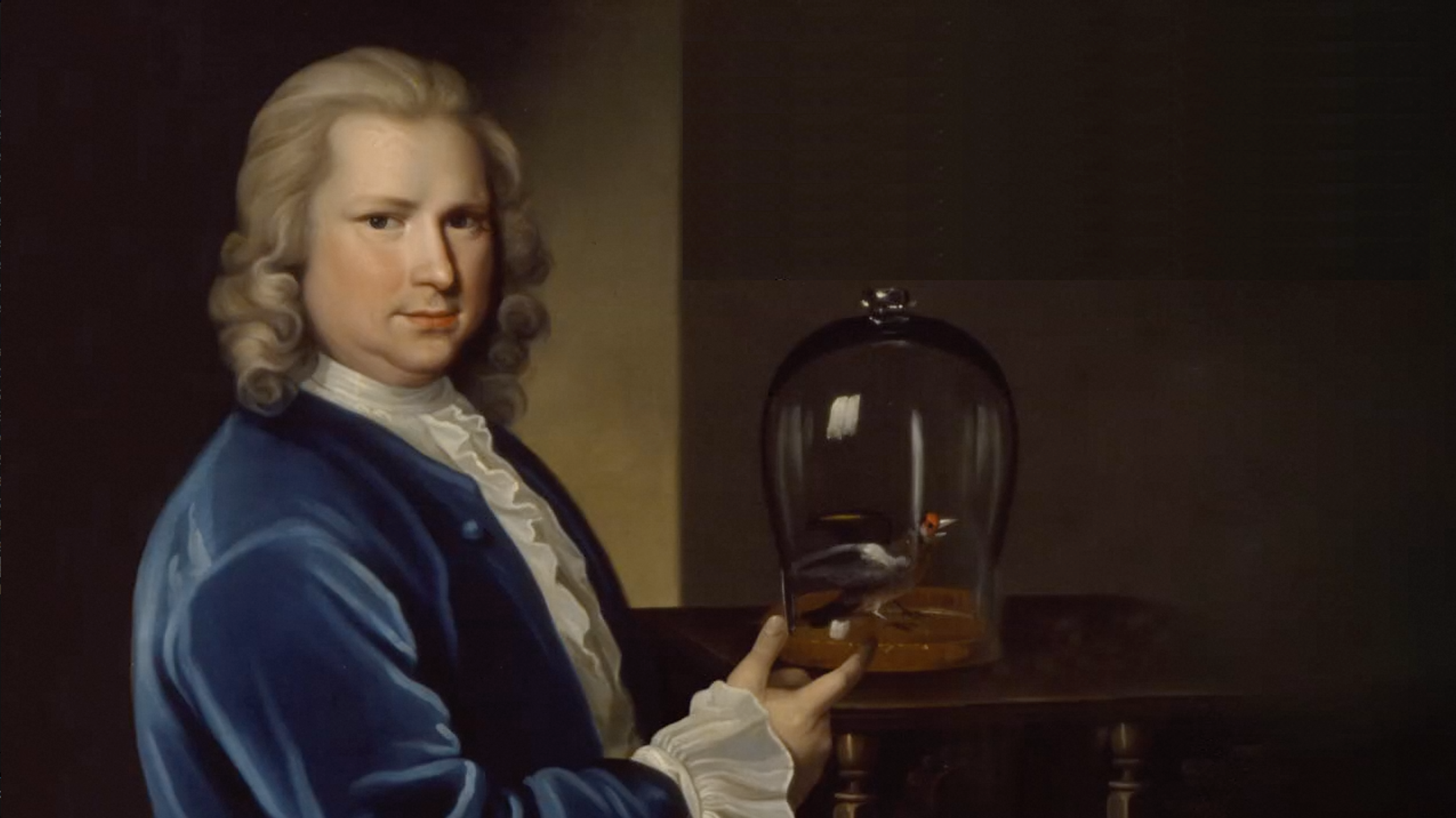 Utställningsfilm Malmö Museum