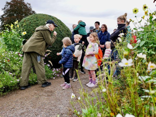 Möt Slottsparkens invånare 3