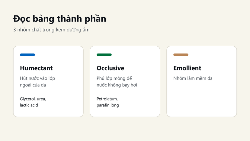Đồ hoạ 3 nhóm chất trong kem dưỡng ẩm: humectant hút nước, occlusive khoá ẩm, emollient làm mềm da