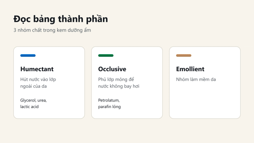 Đồ hoạ 3 nhóm chất trong kem dưỡng ẩm: humectant hút nước, occlusive khoá ẩm, emollient làm mềm da