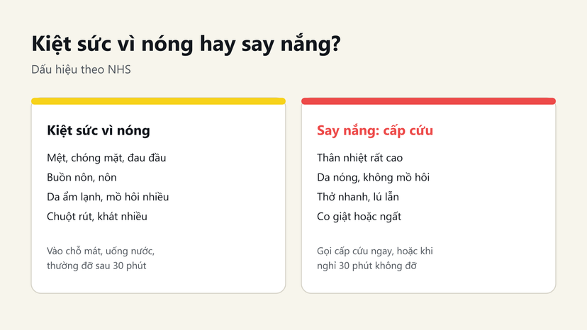 Đồ hoạ so sánh dấu hiệu kiệt sức vì nóng và say nắng theo NHS, khi nào cần gọi cấp cứu