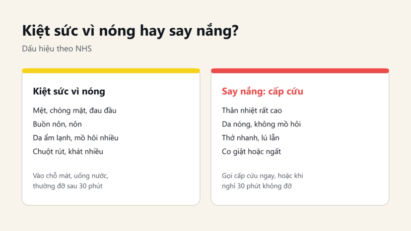 Đồ hoạ so sánh dấu hiệu kiệt sức vì nóng và say nắng theo NHS, khi nào cần gọi cấp cứu