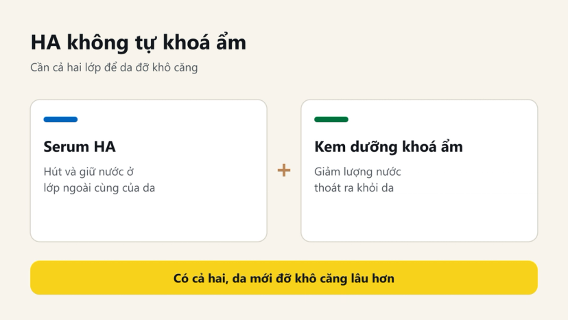 Đồ hoạ: serum HA hút và giữ nước, kem dưỡng khoá ẩm giảm nước thoát ra, cần cả hai