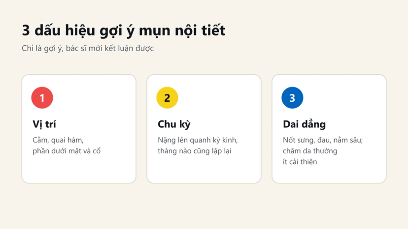 Đồ hoạ 3 dấu hiệu gợi ý mụn nội tiết: vị trí cằm và quai hàm, nặng lên theo chu kỳ kinh, dai dẳng