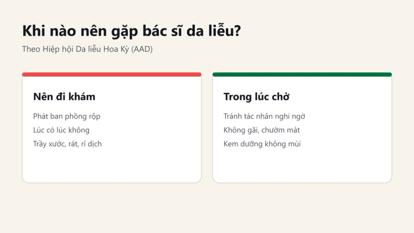 Đồ hoạ dấu hiệu nên gặp bác sĩ da liễu và cách chăm da trong lúc chờ