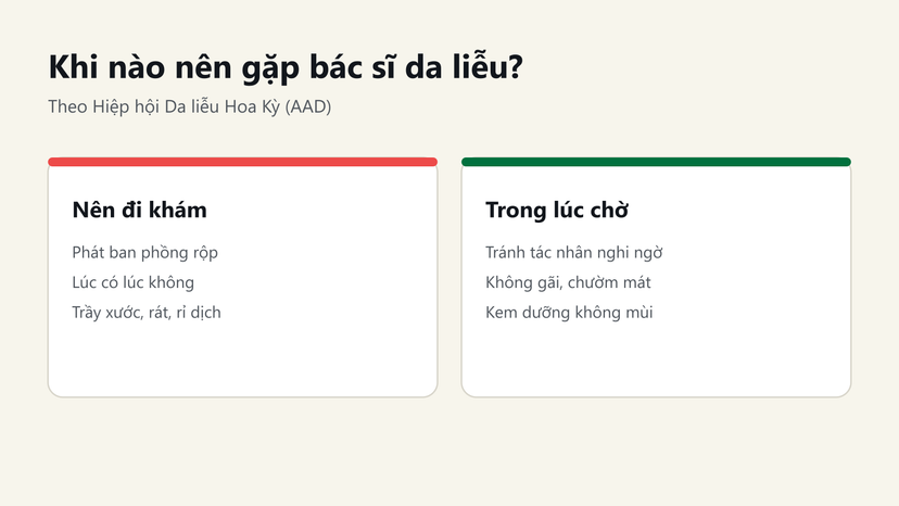 Đồ hoạ dấu hiệu nên gặp bác sĩ da liễu và cách chăm da trong lúc chờ