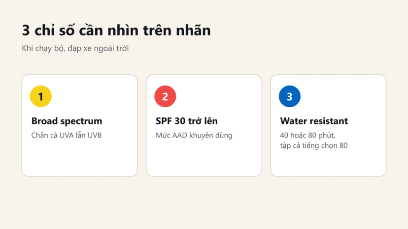 Đồ hoạ 3 chỉ số trên nhãn kem chống nắng: broad spectrum, SPF 30 trở lên, water resistant 40 hoặc 80 phút