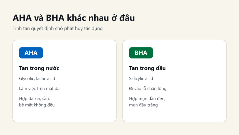 Đồ hoạ so sánh AHA tan trong nước làm việc trên mặt da và BHA tan trong dầu đi vào lỗ chân lông