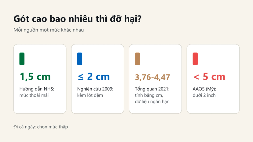 Đồ hoạ so sánh chiều cao gót các nguồn khuyên: NHS 1,5 cm, nghiên cứu 2009 dưới 2 cm, tổng quan 2021 3,76-4,47 cm, AAOS dưới 5 cm