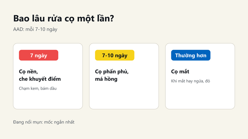 Đồ hoạ lịch rửa cọ trang điểm: cọ nền 7 ngày, cọ phấn 7-10 ngày, cọ mắt thường hơn