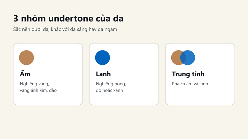 Đồ hoạ 3 nhóm undertone da: ấm, lạnh và trung tính