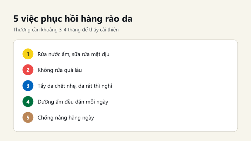 Đồ hoạ 5 việc phục hồi hàng rào da: rửa dịu, không rửa lâu, tẩy da chết nhẹ, dưỡng ẩm, chống nắng
