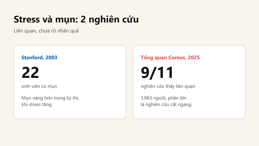 Đồ hoạ tóm tắt 2 nghiên cứu về stress và mụn: 22 sinh viên năm 2003, 9/11 nghiên cứu trong tổng quan 2025
