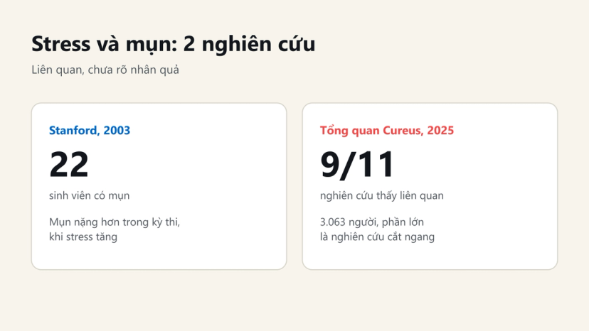 Đồ hoạ tóm tắt 2 nghiên cứu về stress và mụn: 22 sinh viên năm 2003, 9/11 nghiên cứu trong tổng quan 2025