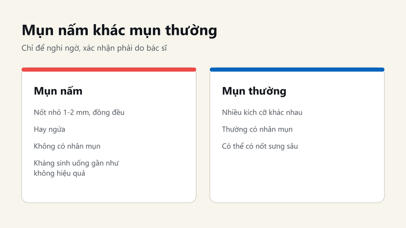 Đồ hoạ so sánh mụn nấm và mụn thường: kích thước nốt, ngứa, nhân mụn