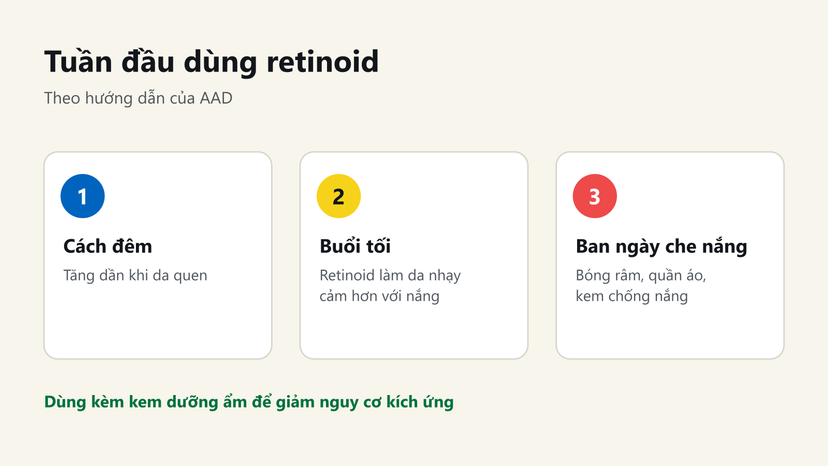 Đồ hoạ 3 việc trong tuần đầu dùng retinoid theo AAD: cách đêm, dùng buổi tối, ban ngày che nắng