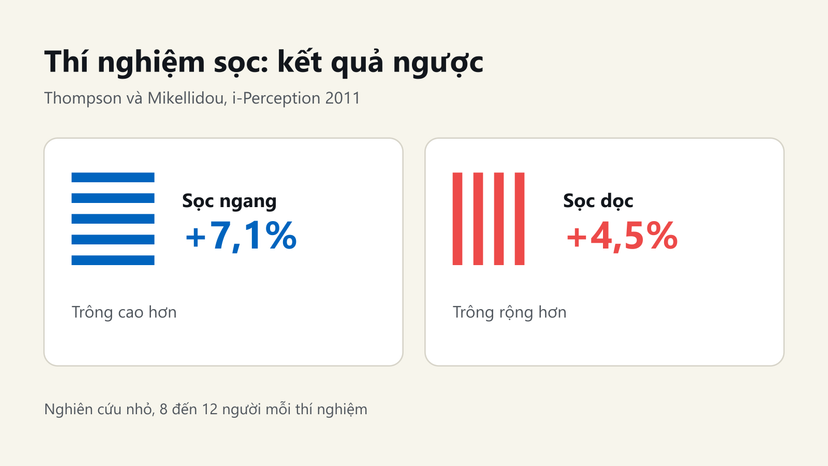 Đồ hoạ kết quả thí nghiệm: sọc ngang trông cao hơn 7,1%, sọc dọc trông rộng hơn 4,5%