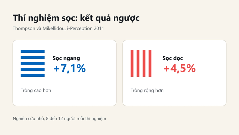 Đồ hoạ kết quả thí nghiệm: sọc ngang trông cao hơn 7,1%, sọc dọc trông rộng hơn 4,5%