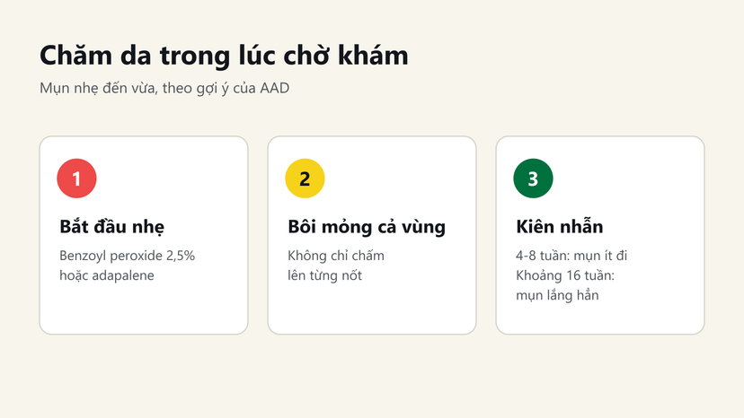 Đồ hoạ 3 bước chăm da trong lúc chờ khám: bắt đầu nhẹ, bôi mỏng cả vùng, kiên nhẫn 4-16 tuần