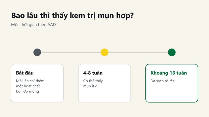 Đồ hoạ mốc thời gian dùng kem trị mụn: 4-8 tuần thấy mụn ít đi, khoảng 16 tuần da sạch rõ rệt