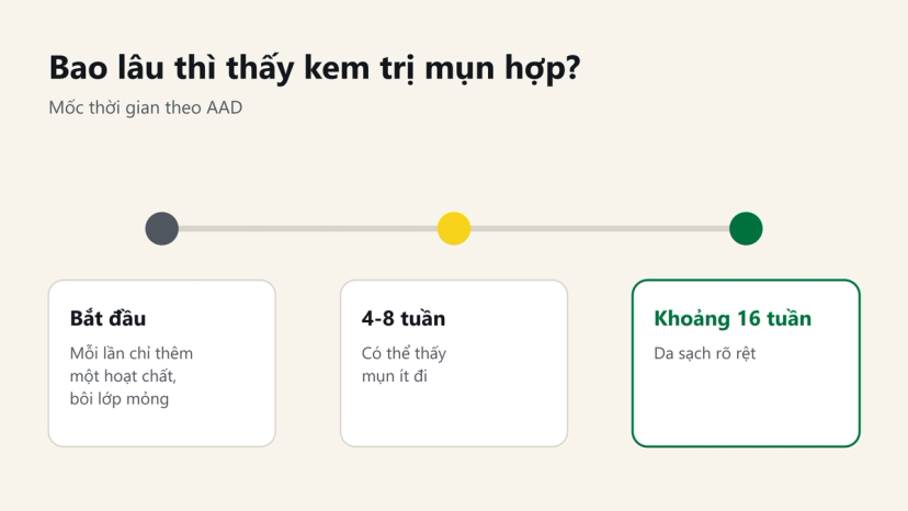 Đồ hoạ mốc thời gian dùng kem trị mụn: 4-8 tuần thấy mụn ít đi, khoảng 16 tuần da sạch rõ rệt