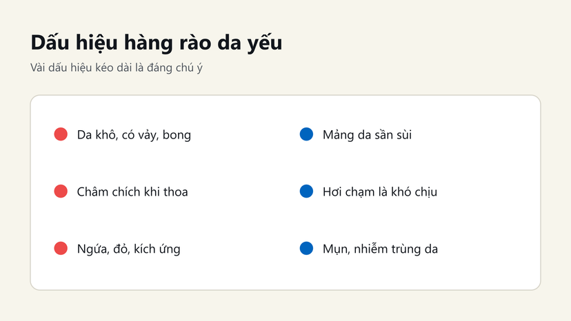 Đồ hoạ 6 dấu hiệu hàng rào da yếu: khô bong vảy, châm chích, ngứa đỏ, sần sùi, nhạy cảm, mụn