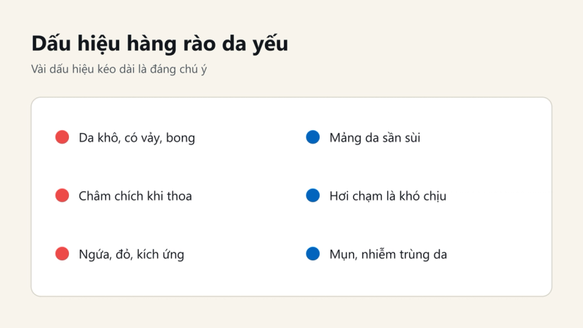 Đồ hoạ 6 dấu hiệu hàng rào da yếu: khô bong vảy, châm chích, ngứa đỏ, sần sùi, nhạy cảm, mụn