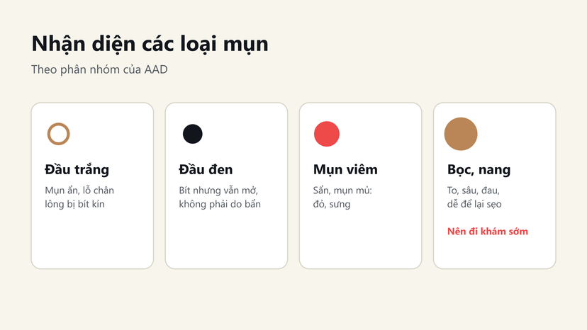 Đồ hoạ nhận diện 4 nhóm mụn: đầu trắng, đầu đen, mụn viêm, mụn bọc và nang
