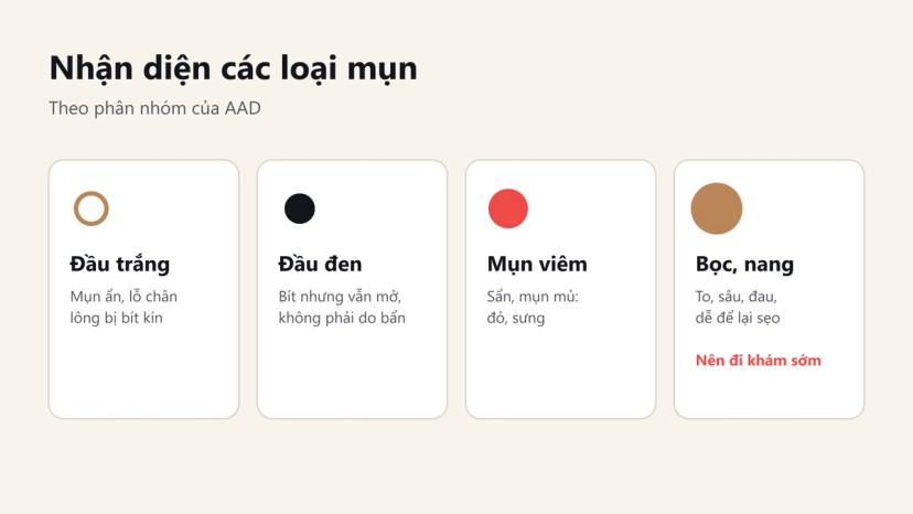 Đồ hoạ nhận diện 4 nhóm mụn: đầu trắng, đầu đen, mụn viêm, mụn bọc và nang