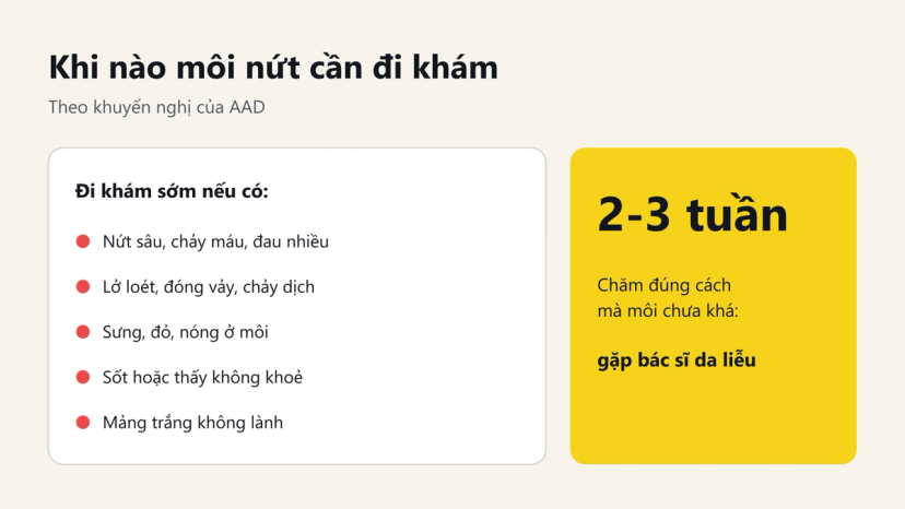 Đồ hoạ các dấu hiệu môi nứt cần đi khám sớm