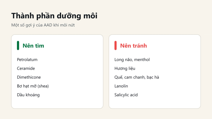 Đồ hoạ thành phần dưỡng môi nên tìm và nên tránh theo AAD