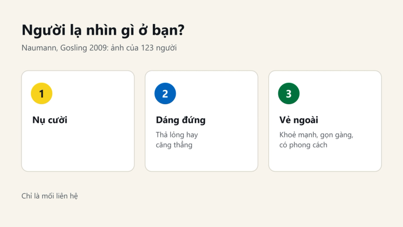 Đồ hoạ nghiên cứu Naumann, Gosling 2009: người lạ dựa vào nụ cười, dáng đứng và vẻ ngoài gọn gàng