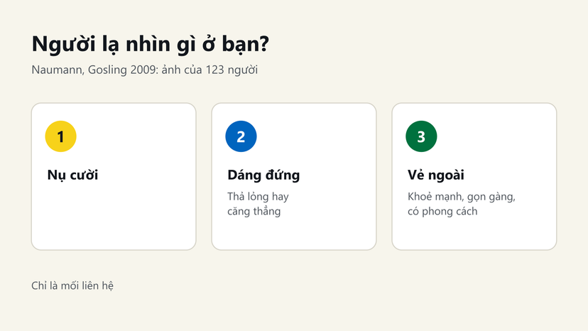 Đồ hoạ nghiên cứu Naumann, Gosling 2009: người lạ dựa vào nụ cười, dáng đứng và vẻ ngoài gọn gàng