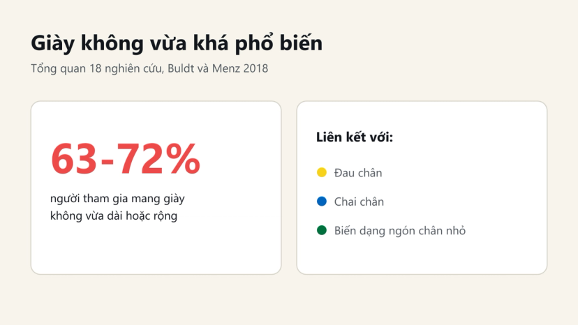 63-72% người tham gia mang giày không vừa, liên kết với đau chân, chai chân, biến dạng ngón chân nhỏ