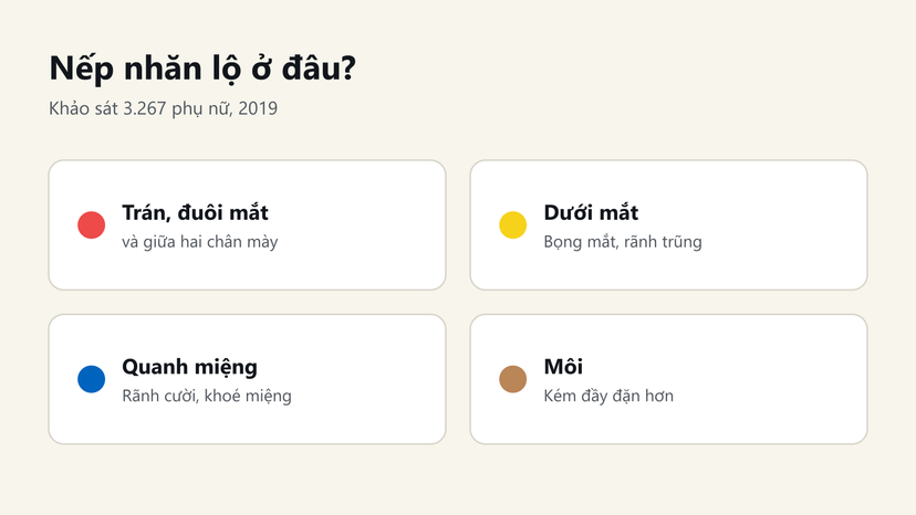 Đồ hoạ các vùng nếp nhăn ở người hút thuốc: trán, đuôi mắt, dưới mắt, quanh miệng, môi